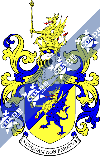 Johnson Coat of Arms changed blue and gold.png